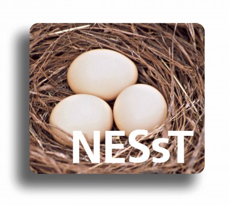 Mutual event of NESsT and BCSDH - Sharing hot chocolate for shared value