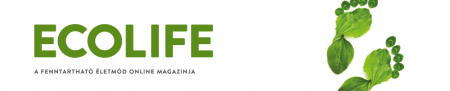 A változáshoz nemcsak külső, hanem belső motiváció is kell - Ecolife interjú Márta Irénnel