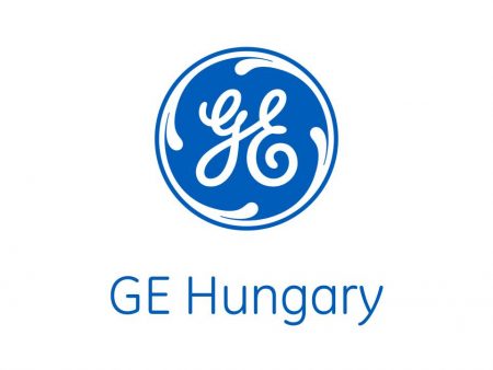 GE for sustainable organisations