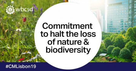 Business networks in 24 countries pledge immediate action to halt the deterioration of Nature and the loss of biodiversity - BCSDH is among the signatories