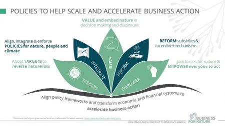 Leading global businesses call on governments to adopt bold actions on nature