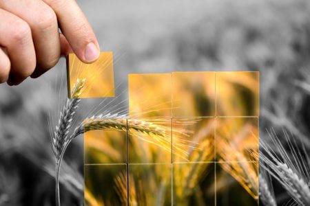 Canadian Chamber of Commerce hosts to highlight the urgency of feeding 8 billion people. Hungary in an exceptional position